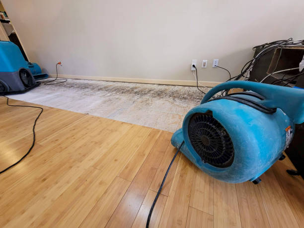 Professional Structural Drying technician working in Barryton, MI